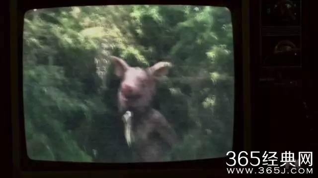 第六季让美恐粉炸了!年度最恐怖电视剧怎么吓人?