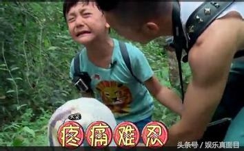 刘烨6岁儿子诺一跟别人起冲突 微博呛声：小子别把我惹急了