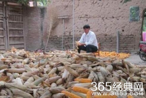 成名后的赵丽颖朱之文为家乡修路反被骂