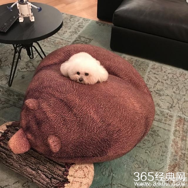 霍思燕晒完豪宅全景又晒局部 网友叹：炫富有完没完了