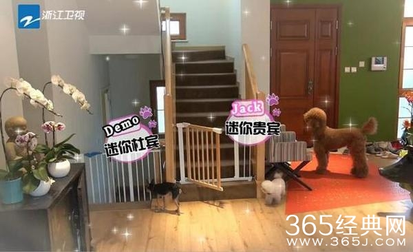 霍思燕晒完豪宅全景又晒局部 网友叹：炫富有完没完了