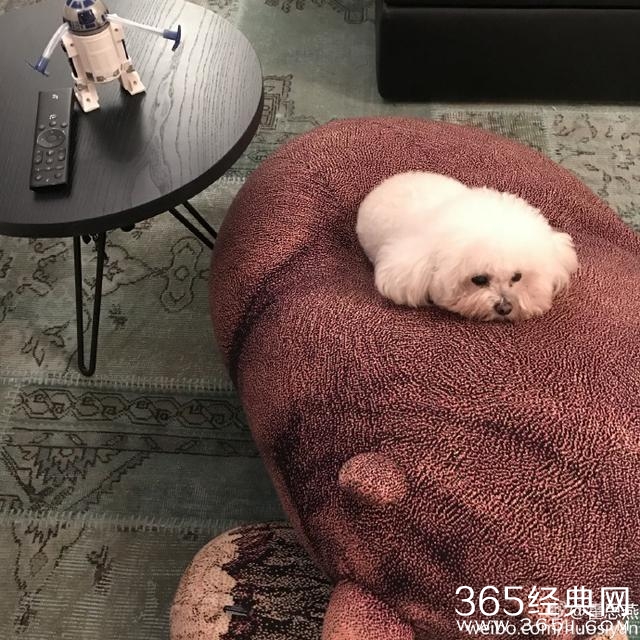 霍思燕晒完豪宅全景又晒局部 网友叹：炫富有完没完了