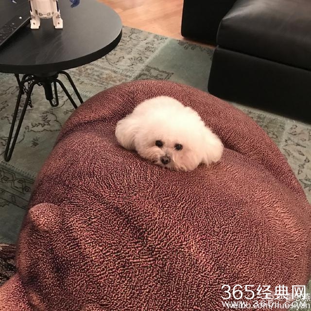 霍思燕晒完豪宅全景又晒局部 网友叹：炫富有完没完了