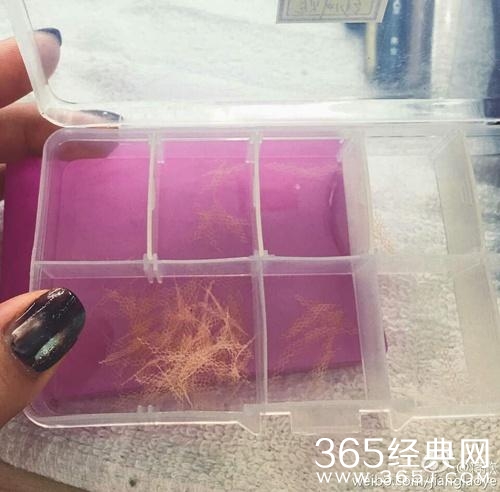 蒋欣大方向网友安利双眼皮贴 网友：以为是哪个美妆博主