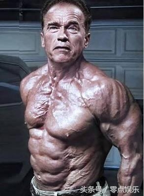 施瓦辛格69岁再练肌肉，重回巅峰！终结者又回来了！