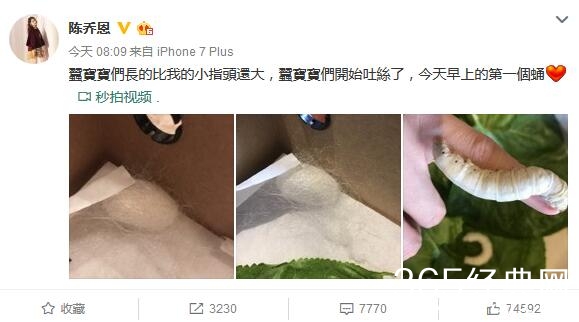 女汉子！陈乔恩晒蚕蛹照 网友留言被吓到