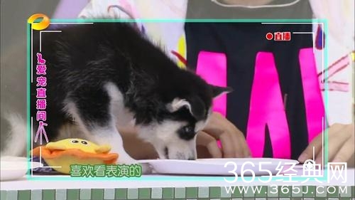 都在嘲笑谢娜没文化，但你们不知道其实她这么讲义气吧!