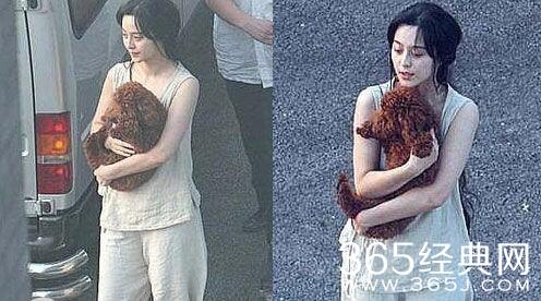 明星睡衣照合集，郑爽接地气杨洋萌，最后一张不敢看