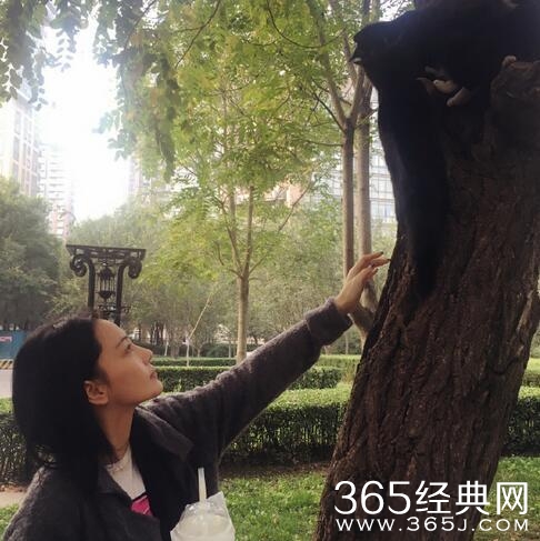 张馨予晒了个猫，评论炸了锅，网友又开撕了