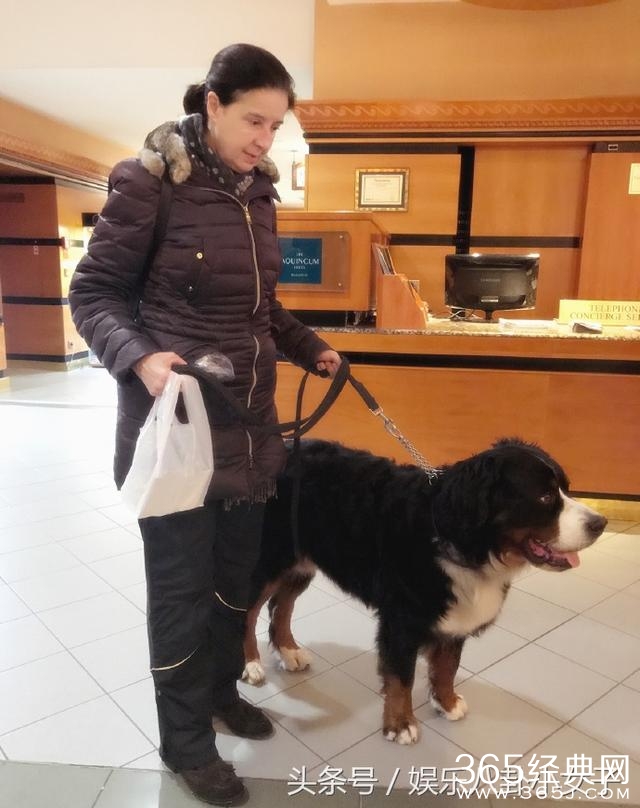 陈乔恩微博晒照，分享在布达佩斯的日子