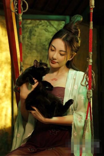 张雨绮抱猫拍古装美照 网友赞其“唐朝美人脸”