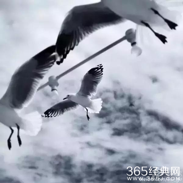 为什么很少有人讨厌胡歌？