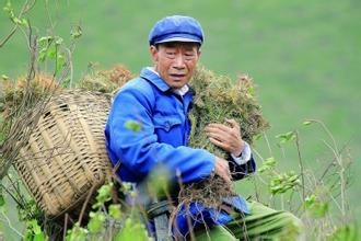 老戏骨李雪健竟然也有失败的角色，自称为此感到羞耻而后悔一辈子