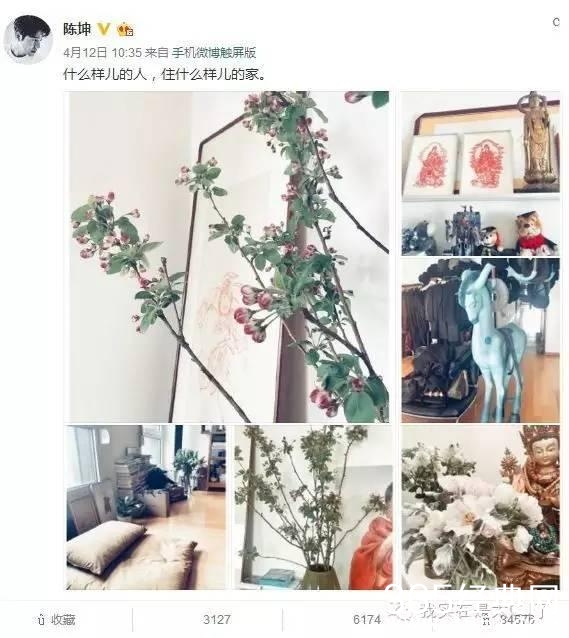 厉害了我的哥，陈坤突然就搞出事儿了