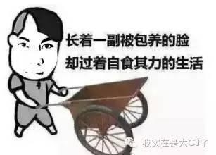 厉害了我的哥，陈坤突然就搞出事儿了