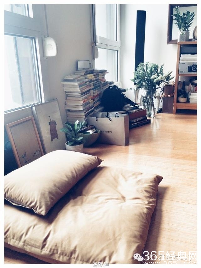 厉害了我的哥，陈坤突然就搞出事儿了