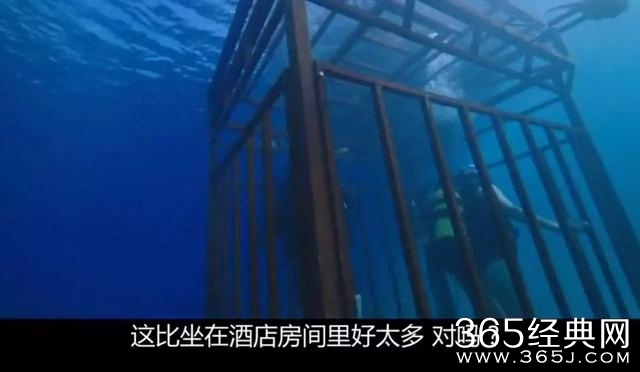 让深海恐惧症一本满足的新片，全程压迫感十足