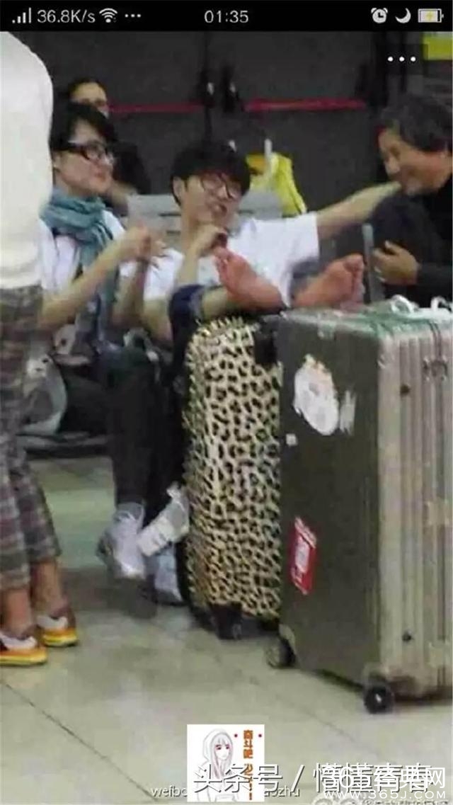 华晨宇、刘亦菲、杨洋、杨幂、郑爽被黑的真实原因！