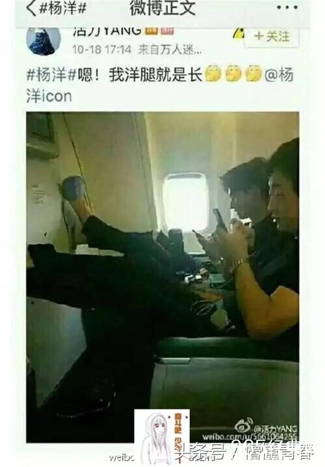 华晨宇、刘亦菲、杨洋、杨幂、郑爽被黑的真实原因！