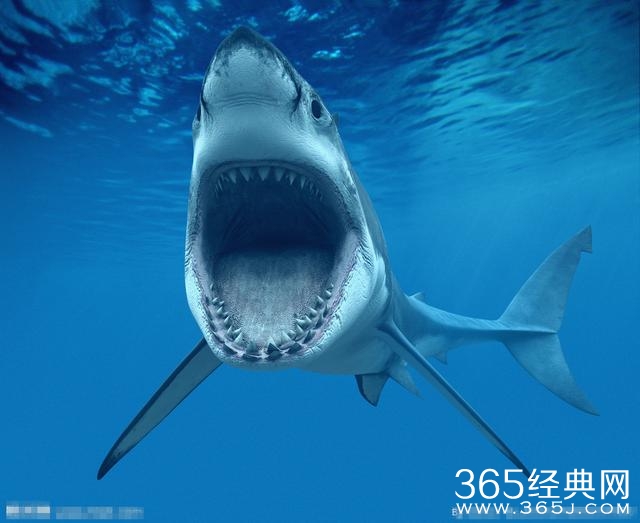 永不过时的恐惧，盘点我们看过的西方恐怖片