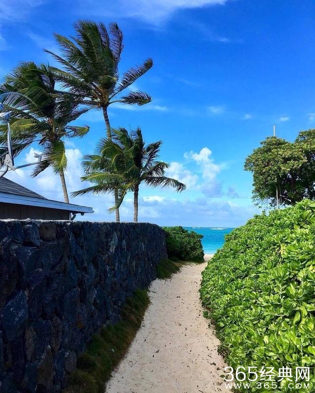 BIGBANG权志龙与姜大声等沙滩放松 网友：龙哥老司机太污