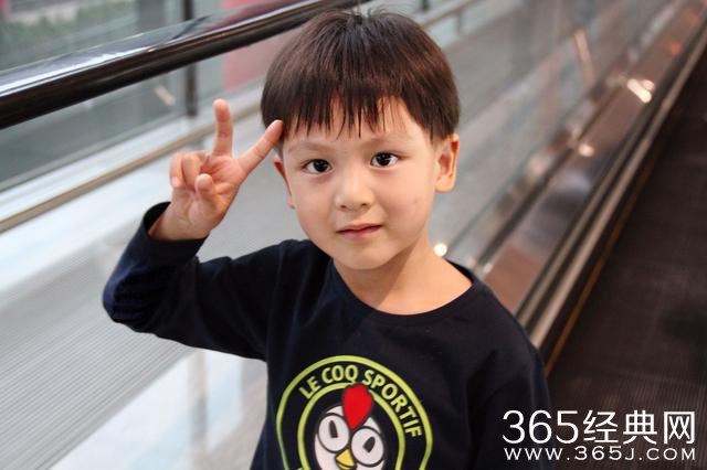 张亮发了一张手牵女儿的图片，网友评论亮了