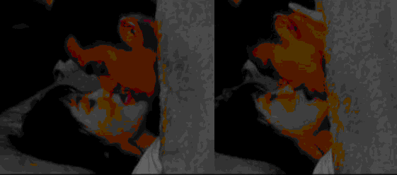 明星吻戏 赵丽颖胡歌霍建华到底谁更走心？