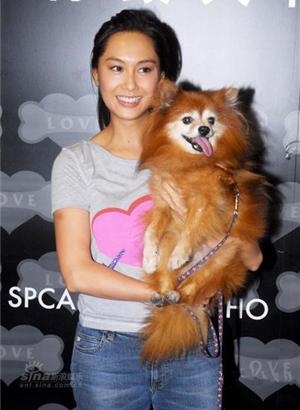 周星驰朱茵分手内幕曝光！现今多年，53岁周星驰为她终身不娶？