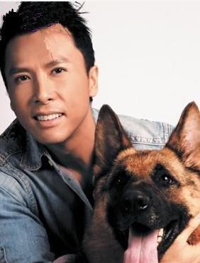 中国9大功夫明星！谁有资格成为李小龙的接班人？名单已列出！