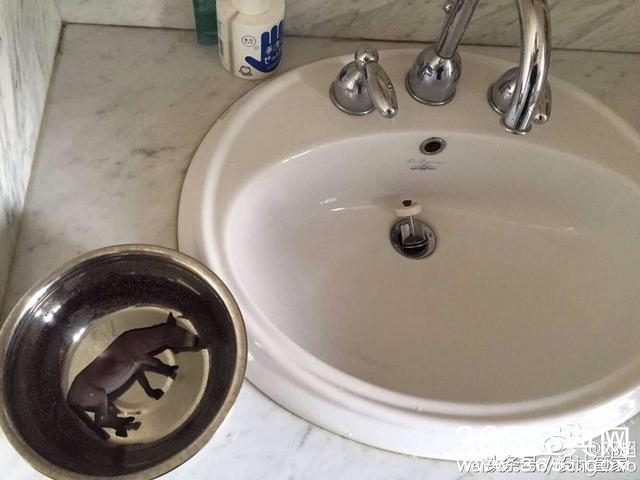 孙俪邓超爱巢曝光，室内装修奢华至极