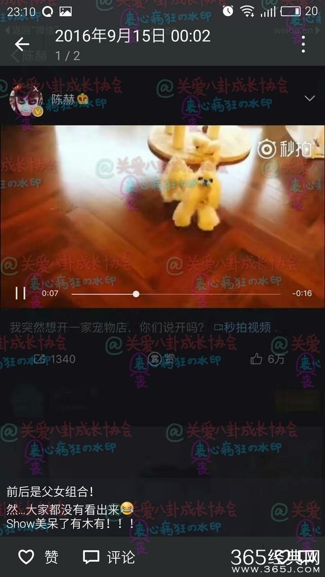 陈赫朋友发朋友圈赞其女儿长得极其精致漂亮，张子萱月子餐曝光！