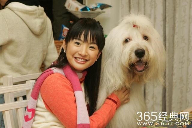 林依晨换发型神似大头娃娃鲁豫，小腿看起来怎么怪怪的？