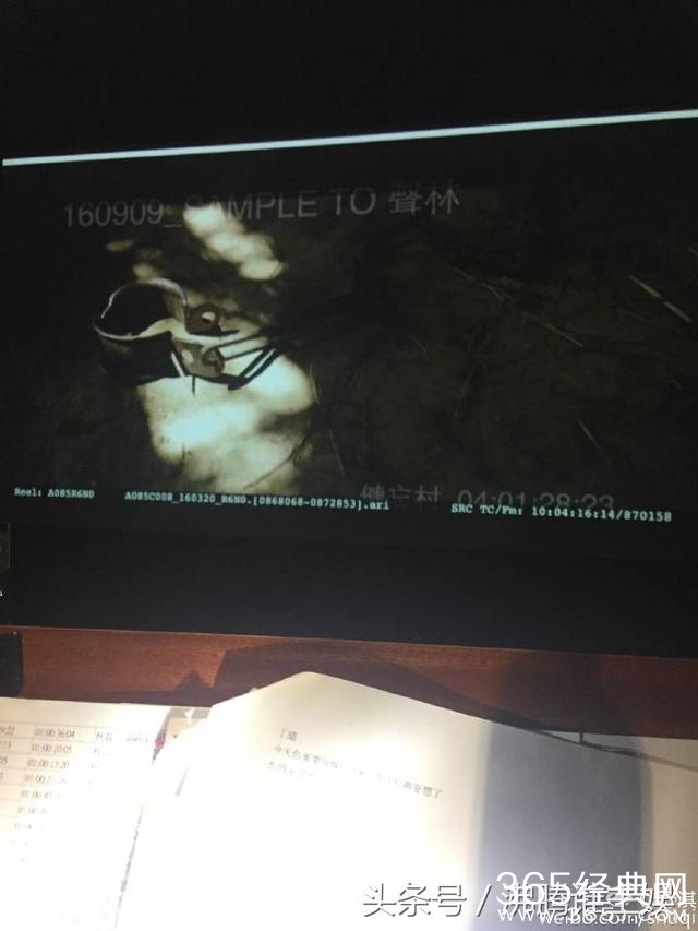 舒淇微博晒图却把大家吓得不轻，网友:看小图以为怀孕了是B超图