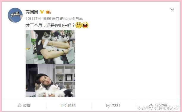 女神高圆圆也怀孕啦？肚子大的已经没有了腰身？