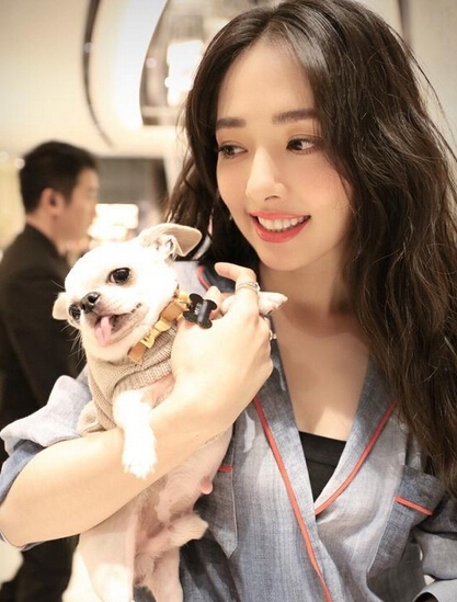 那片星空那片海沈螺是谁 那片星空那片海郭碧婷角色介绍