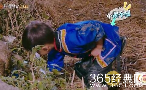 田亮儿子的洁癖太严重了，不睡觉也要把裤子洗干净