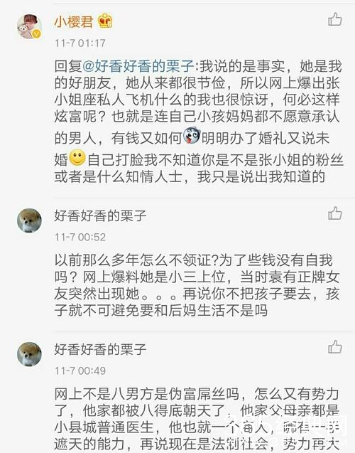 袁巴元前妻炮轰张雨绮自欺欺人拿孩子作秀 网友：怎么不撕前夫？