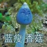 《灵魂摆渡3》感情线终于明朗！良心编剧把之前的坑都给填了！