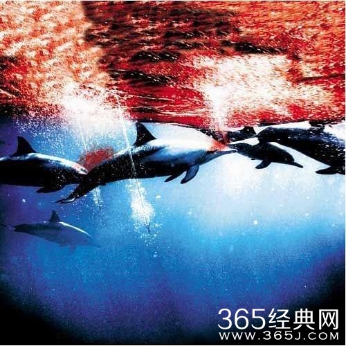 了不起的小李子，拍了一部令人震惊的新片
