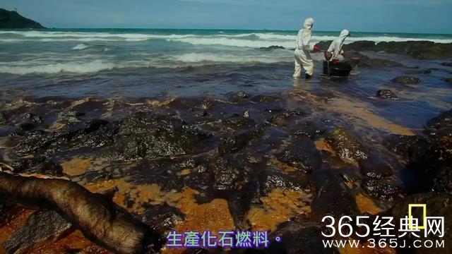 了不起的小李子，拍了一部令人震惊的新片