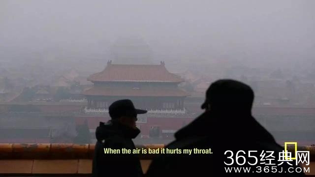了不起的小李子，拍了一部令人震惊的新片