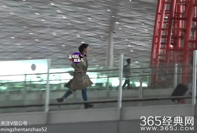 高圆圆美丽人妻范儿现身机场 矫健快跑亲证没怀孕