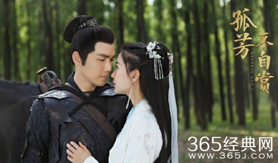 孤芳不自赏剧情怎么样 孤芳不自赏剧情介绍