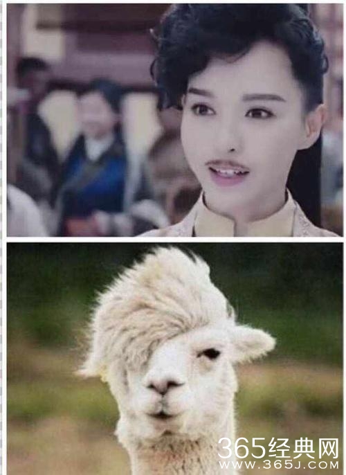 唐嫣的这个发型，让网友们笑到抽筋   网友：神相似