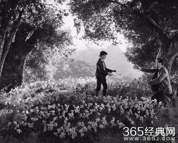 好莱坞为什么会喜欢拍英国题材的电影？原因很复杂
