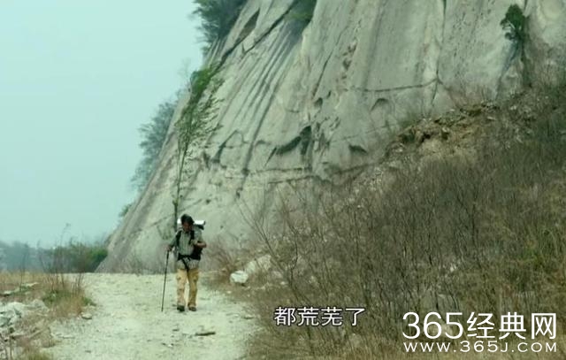 声控福音：记《灵魂摆渡》中那些感人至深的旁白