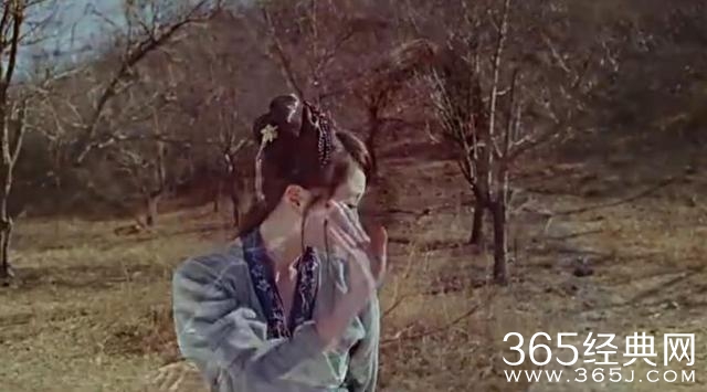 声控福音：记《灵魂摆渡》中那些感人至深的旁白