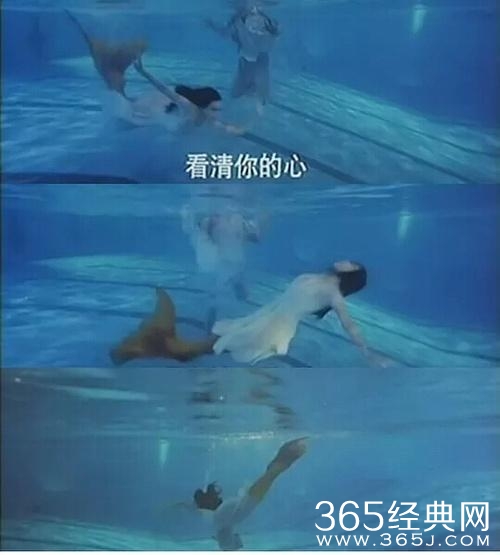韩国女神全智贤演美人鱼 居然被45岁的钟丽缇甩出一条街