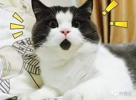 杨幂张艺兴王嘉尔，没两把刷子怎么混娱乐圈，明星们惊艳的个人技