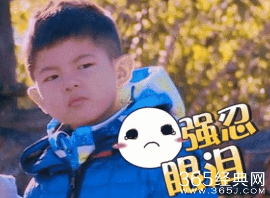 安吉嫌弃脸动态表情包下载地址 胡可沙溢神模仿